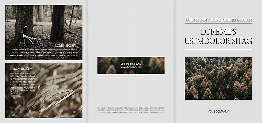 나무 식물 템플릿 편집 표지디자인 북디자인 출판디자인 표지 리플렛 백그라운드 북커버 3단접지 자연 팜플렛 사람없음 자전거 숲 강아지풀 이미지템플릿 AI파일 바이크 생태계 한해살이풀 파일형식 벡터