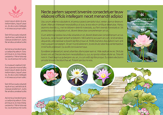 식물 템플릿 편집 표지디자인 북디자인 출판디자인 꽃 내지 리플렛 여행 백그라운드 북커버 3단접지 연꽃 팜플렛 사람없음 연못 연잎 연꽃축제 가교 이미지템플릿 AI파일 건축물 잎 꽃축제 파일형식 벡터