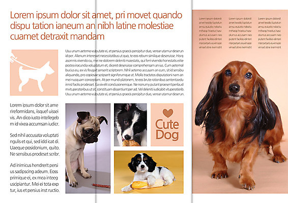 동물 템플릿 편집 표지디자인 북디자인 출판디자인 내지 반려견 음식 빵 리플렛 백그라운드 북커버 여러마리 3단접지 포유류 옥수수 팜플렛 사람없음 반려동물 개 목줄 개껌 반려 이미지템플릿 AI파일 다수 곡류 파일형식 벡터 반려용품