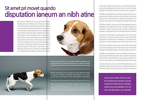 동물 템플릿 편집 표지디자인 북디자인 출판디자인 내지 반려견 리플렛 백그라운드 두마리 북커버 3단접지 포유류 팜플렛 사람없음 반려동물 개 비글 반려 이미지템플릿 AI파일 2 파일형식 벡터