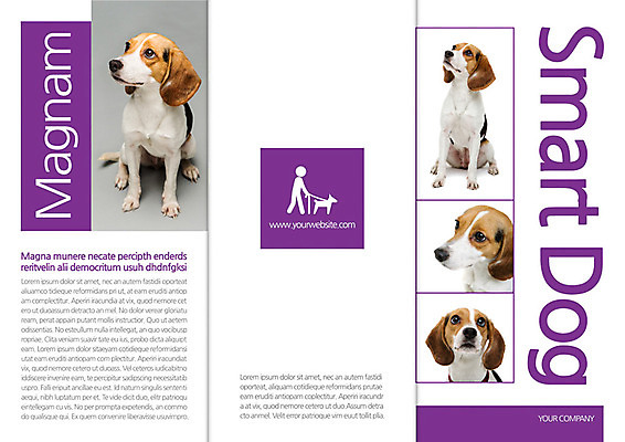 동물 템플릿 편집 표지디자인 북디자인 출판디자인 표지 반려견 리플렛 백그라운드 북커버 여러마리 3단접지 포유류 사람모양 팜플렛 사람없음 반려동물 개 비글 목줄 반려 이미지템플릿 AI파일 모양 다수 파일형식 벡터 반려용품