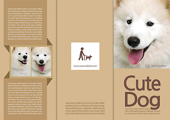 동물 템플릿 편집 표지디자인 북디자인 출판디자인 표지 반려견 리플렛 백그라운드 북커버 3단접지 포유류 사람모양 세마리 팜플렛 사람없음 반려동물 개 메롱 사모예드 목줄 반려 이미지템플릿 AI파일 모양 모션 3 파일형식 벡터 반려용품