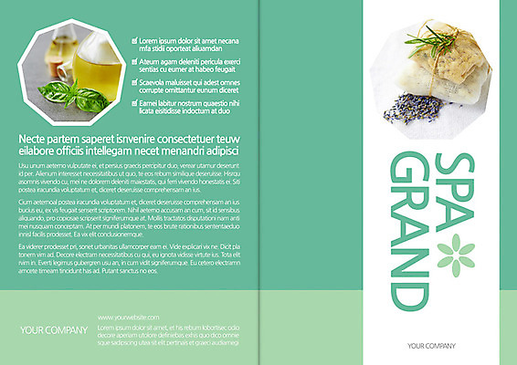 식물 템플릿 편집 우먼라이프 표지디자인 북디자인 출판디자인 표지 백그라운드 북커버 팜플렛 사람없음 뷰티 스파 마사지 오일 허브 스파용품 이미지템플릿 AI파일 라이프스타일 음식 화장품 오브젝트 파일형식 벡터