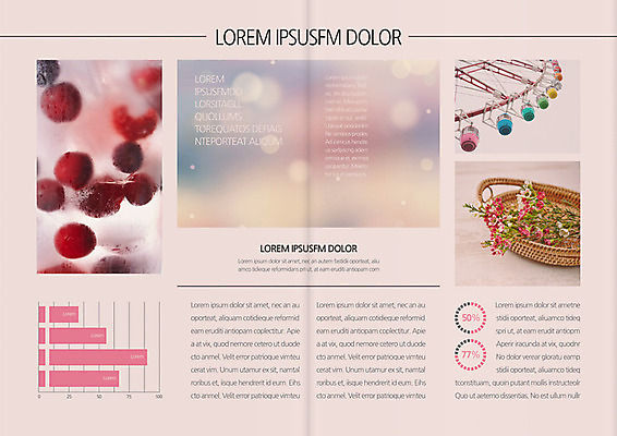 식물 템플릿 편집 우먼라이프 표지디자인 북디자인 출판디자인 꽃 내지 음식 백그라운드 북커버 과일 그래프 팜플렛 사람없음 바구니 퍼센트 놀이기구 대관람차 이미지템플릿 AI파일 라이프스타일 특수기호 파일형식 벡터