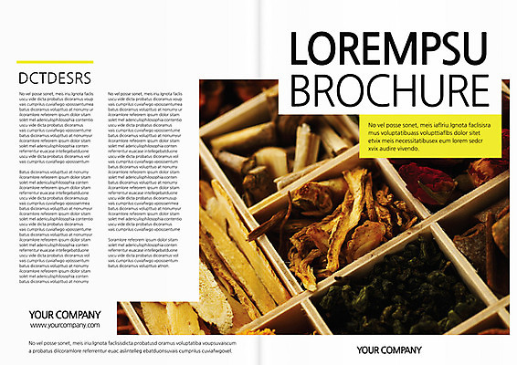 템플릿 편집 표지디자인 북디자인 출판디자인 표지 음식 리플렛 백그라운드 북커버 재료 3단접지 건조 팜플렛 사람없음 한의학 약재 한약재 뿌리 나무껍질 건강식품 이미지템플릿 AI파일 나무 의학 건강 약 껍질 파일형식 벡터