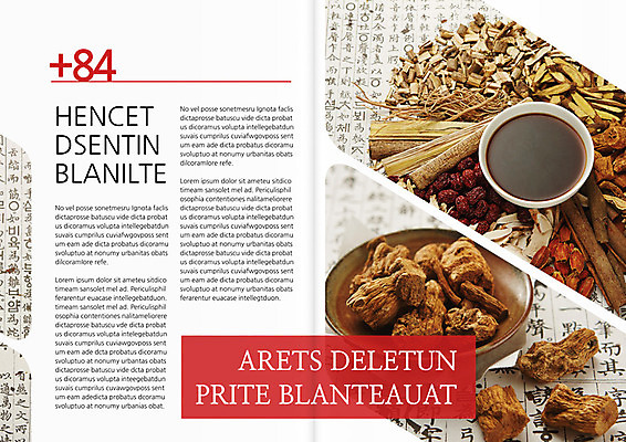 템플릿 편집 접시 표지디자인 북디자인 출판디자인 내지 음식 리플렛 백그라운드 북커버 3단접지 건조 팜플렛 사람없음 한의학 약재 한약재 인삼 한약 뿌리 대추 나무껍질 건강식품 이미지템플릿 AI파일 나무 식기 의학 건강 약 껍질 삼 파일형식 벡터