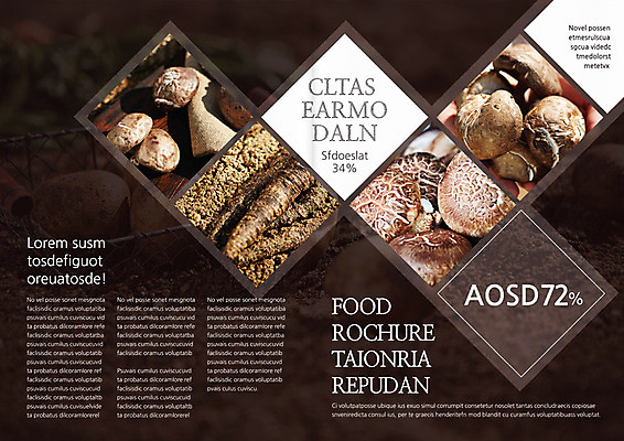 템플릿 편집 표지디자인 북디자인 웰빙 출판디자인 내지 음식 리플렛 백그라운드 채소 북커버 식재료 3단접지 팜플렛 사람없음 농작물 버섯 건강식품 이미지템플릿 AI파일 농업 건강 파일형식 벡터