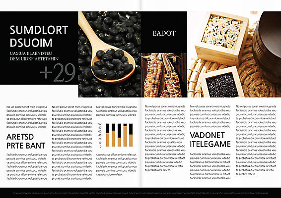템플릿 편집 표지디자인 북디자인 웰빙 출판디자인 내지 음식 리플렛 백그라운드 북커버 식재료 3단접지 그래프 콩 곡류 옥수수 팜플렛 사람없음 숟가락 쌀 항아리 건강식품 되 검은쌀 이미지템플릿 AI파일 수저 건강 도자기 파일형식 벡터