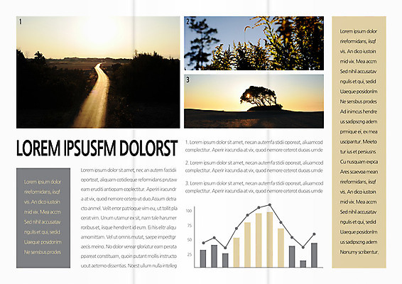 나무 식물 템플릿 편집 표지디자인 북디자인 출판디자인 실루엣 내지 길 리플렛 여행 백그라운드 북커버 3단접지 그래프 팜플렛 사람없음 노을 이미지템플릿 AI파일 자연요소 촬영기법 파일형식 벡터