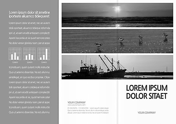 동물 템플릿 편집 표지디자인 북디자인 출판디자인 표지 리플렛 바다 여행 백그라운드 북커버 3단접지 갈매기 조류 그래프 팜플렛 해변 사람없음 태양 선박 이미지템플릿 AI파일 자연요소 수상교통 파일형식 벡터