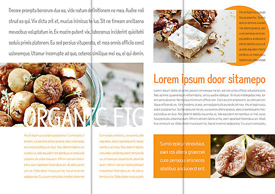 PSD 템플릿 편집 그릇 표지디자인 북디자인 출판디자인 열매 내지 음식 리플렛 백그라운드 북커버 3단접지 단면 팜플렛 사람없음 요식업 견과류 무화과 이미지템플릿 식물 식기 산업 과일 파일형식