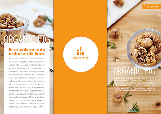 PSD 템플릿 편집 그릇 표지디자인 북디자인 출판디자인 열매 표지 음식 리플렛 백그라운드 북커버 3단접지 팜플렛 사람없음 요식업 견과류 허브 무화과 이미지템플릿 식물 식기 산업 과일 파일형식