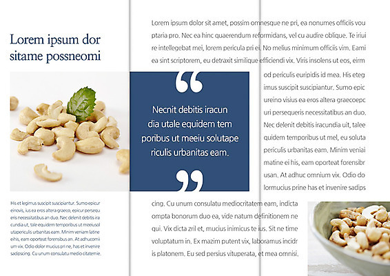 PSD 템플릿 편집 그릇 표지디자인 북디자인 출판디자인 내지 음식 리플렛 백그라운드 잎 북커버 3단접지 팜플렛 사람없음 요식업 견과류 땅콩 이미지템플릿 식물 식기 산업 파일형식