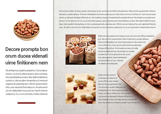 PSD 템플릿 편집 그릇 표지디자인 북디자인 출판디자인 내지 음식 리플렛 백그라운드 북커버 3단접지 봉투 팜플렛 사람없음 요식업 견과류 땅콩 이미지템플릿 식기 산업 파일형식