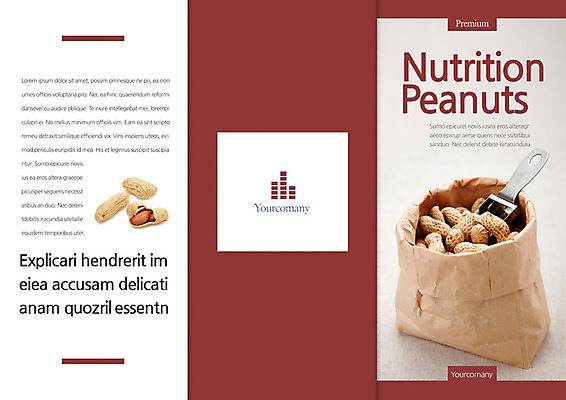 PSD 템플릿 편집 표지디자인 북디자인 출판디자인 표지 음식 리플렛 백그라운드 북커버 3단접지 봉투 팜플렛 사람없음 요식업 견과류 땅콩 이미지템플릿 산업 파일형식