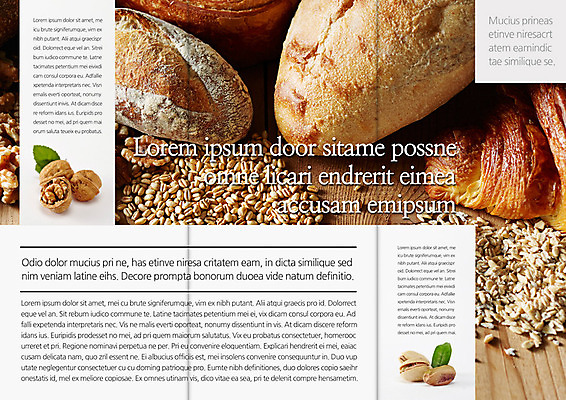 PSD 템플릿 편집 표지디자인 북디자인 출판디자인 내지 음식 빵 리플렛 백그라운드 북커버 3단접지 곡류 팜플렛 사람없음 요식업 빵집 견과류 바게트 보리 호두 피스타치오 이미지템플릿 산업 상점 파일형식