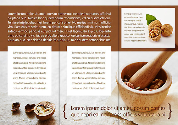 PSD 템플릿 편집 표지디자인 북디자인 출판디자인 내지 음식 리플렛 백그라운드 북커버 3단접지 팜플렛 사람없음 요식업 견과류 호두 절구 호두망치 이미지템플릿 산업 주방용품 도구 파일형식