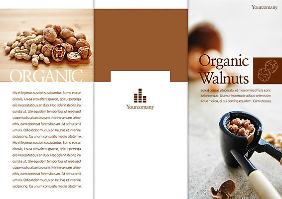 PSD 템플릿 편집 표지디자인 북디자인 출판디자인 표지 음식 리플렛 백그라운드 북커버 3단접지 팜플렛 사람없음 요식업 견과류 도구 땅콩 호두 호두망치 이미지템플릿 산업 주방용품 파일형식