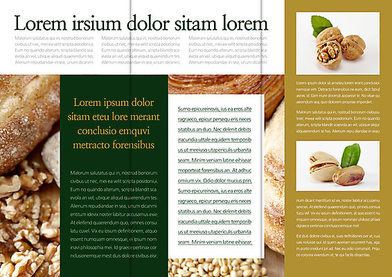 PSD 템플릿 편집 표지디자인 북디자인 출판디자인 내지 음식 빵 리플렛 백그라운드 북커버 3단접지 곡류 팜플렛 사람없음 요식업 빵집 견과류 허브 호두 피스타치오 이미지템플릿 식물 산업 상점 파일형식
