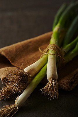 포토 JPG 스튜디오촬영 음식 채소 식재료 실내 사람없음 레시피 파 대파 국내포토 내부 파일형식