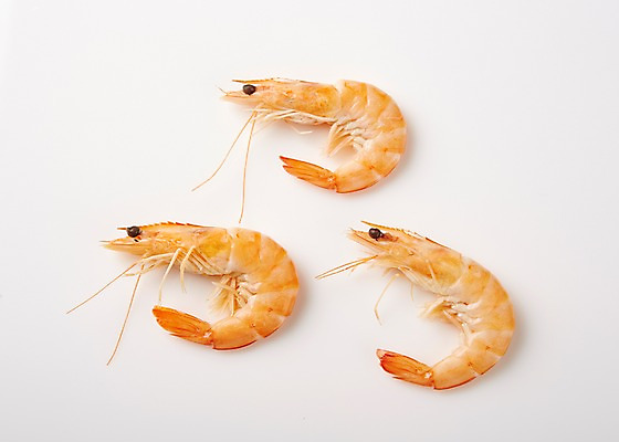 포토 JPG 스튜디오촬영 음식 식재료 새우 실내 사람없음 해산물 레시피 국내포토 갑각류 내부 파일형식
