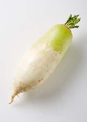 포토 JPG 스튜디오촬영 음식 채소 식재료 실내 사람없음 무 레시피 국내포토 뿌리채소 내부 파일형식