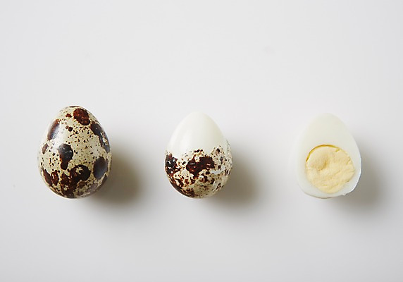 포토 JPG 스튜디오촬영 음식 식재료 실내 사람없음 레시피 메추리알 국내포토 내부 알 파일형식