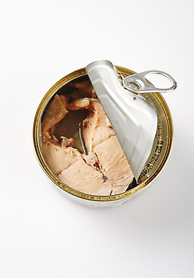 포토 실내 어류 내부 수중동물 파일형식 음식 연어 사람없음 통조림 식재료 JPG 레시피 캔 스튜디오촬영 국내포토