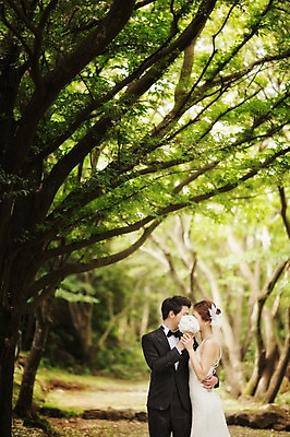 포토 JPG 주간 나무 라이프스타일 여자 남자 행복 신부 웨딩드레스 허리손 신랑 결혼 신혼부부 모션 포옹 자연 키스 한국 함께함 사랑 서기 들기 사람 정장 턱시도 상반신 성인 야외 두명 옆모습 30대 제주도 숲 웨딩라이프 장년만 성인만 국내포토 자연요소 식물 부부 드레스 옷 감정 아시아 뷰포인트 포즈 컨셉 안기 이벤트 생활 장년 애정표현 생태계 신혼 파일형식