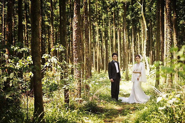 포토 JPG 주간 전신 나무 식물 라이프스타일 여자 남자 행복 신부 부케 웨딩드레스 신랑 결혼 신혼부부 모션 자연 한국 함께함 사랑 서기 들기 사람 동양인 정장 턱시도 성인 야외 두명 앞모습 30대 제주도 한국인 숲 웨딩라이프 장년만 성인만 국내포토 자연요소 부부 드레스 옷 감정 아시아 뷰포인트 꽃다발 컨셉 인종 이벤트 생활 장년 생태계 신혼 파일형식