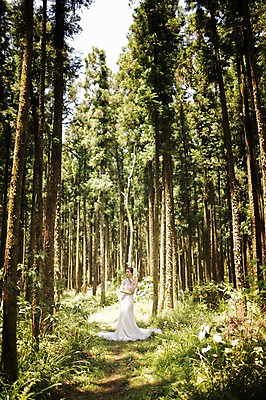 포토 JPG 주간 전신 나무 식물 라이프스타일 여자 신부 웨딩드레스 결혼 모션 자연 한국 한명 서기 사람 동양인 성인 야외 옆모습 30대 제주도 한국인 우아함 숲 순수 상쾌 특별함 웨딩라이프 여자만 여자한명만 성인여자만 성인한명만 성인여자한명만 장년만 장년여자만 장년여자한명만 성인만 국내포토 자연요소 1 드레스 감정 아시아 뷰포인트 컨셉 인종 이벤트 생활 장년 생태계 파일형식