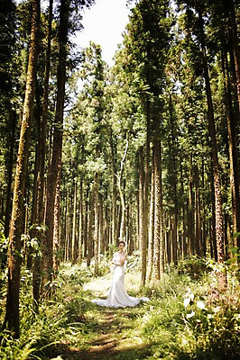 포토 JPG 주간 전신 나무 식물 라이프스타일 여자 신부 웨딩드레스 결혼 모션 자연 한국 한명 서기 사람 동양인 성인 야외 앞모습 30대 제주도 한국인 우아함 숲 순수 상쾌 특별함 웨딩라이프 여자만 여자한명만 성인여자만 성인한명만 성인여자한명만 장년만 장년여자만 장년여자한명만 성인만 국내포토 자연요소 1 드레스 감정 아시아 뷰포인트 컨셉 인종 이벤트 생활 장년 생태계 파일형식