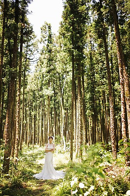 포토 JPG 주간 전신 나무 식물 라이프스타일 여자 신부 웨딩드레스 결혼 모션 자연 한국 한명 서기 사람 동양인 성인 야외 앞모습 30대 제주도 팔짱 한국인 우아함 숲 순수 상쾌 특별함 웨딩라이프 여자만 여자한명만 성인여자만 성인한명만 성인여자한명만 장년만 장년여자만 장년여자한명만 성인만 국내포토 자연요소 1 드레스 감정 아시아 뷰포인트 컨셉 인종 이벤트 생활 장년 생태계 파일형식