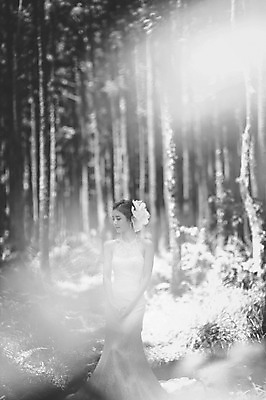 포토 JPG 주간 나무 식물 라이프스타일 응시 여자 신부 웨딩드레스 결혼 모션 자연 한국 흑백 한명 서기 사람 동양인 상반신 성인 야외 앞모습 30대 제주도 한국인 우아함 숲 순수 상쾌 특별함 웨딩라이프 여자만 여자한명만 성인여자만 성인한명만 성인여자한명만 장년만 장년여자만 장년여자한명만 성인만 국내포토 자연요소 1 시선 드레스 감정 아시아 뷰포인트 컨셉 촬영기법 인종 이벤트 생활 장년 생태계 파일형식