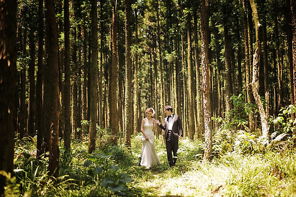 포토 JPG 주간 전신 나무 식물 라이프스타일 여자 남자 행복 신부 웨딩드레스 신랑 결혼 신혼부부 모션 자연 한국 함께함 사랑 사람 동양인 정장 턱시도 성인 야외 두명 앞모습 30대 제주도 걷기 산책 한국인 숲 웨딩라이프 장년만 성인만 국내포토 자연요소 부부 드레스 옷 감정 아시아 뷰포인트 컨셉 휴식 인종 이벤트 생활 장년 생태계 신혼 파일형식