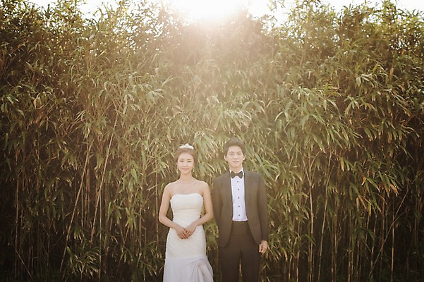 포토 JPG 주간 나무 라이프스타일 여자 남자 행복 신부 웨딩드레스 신랑 결혼 신혼부부 모션 자연 한국 함께함 사랑 서기 미소 사람 동양인 정장 턱시도 손짓 상반신 성인 야외 두명 앞모습 30대 햇빛 제주도 한국인 대나무 손모으기 대나무숲 웨딩라이프 장년만 성인만 국내포토 자연요소 식물 부부 드레스 옷 감정 아시아 뷰포인트 컨셉 표정 인종 이벤트 생활 장년 태양 숲 생태계 신혼 파일형식