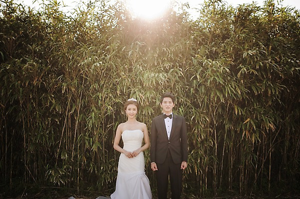 포토 JPG 주간 나무 라이프스타일 여자 남자 행복 신부 웨딩드레스 신랑 결혼 신혼부부 모션 자연 한국 함께함 사랑 서기 미소 사람 동양인 정장 턱시도 손짓 상반신 성인 야외 두명 앞모습 30대 햇빛 제주도 한국인 대나무 손모으기 대나무숲 웨딩라이프 장년만 성인만 국내포토 자연요소 식물 부부 드레스 옷 감정 아시아 뷰포인트 컨셉 표정 인종 이벤트 생활 장년 태양 숲 생태계 신혼 파일형식