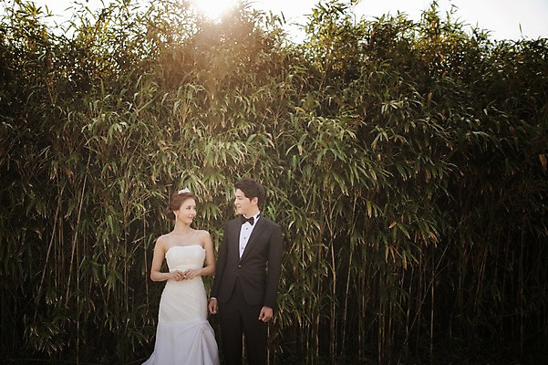 포토 JPG 주간 나무 라이프스타일 여자 남자 행복 신부 웨딩드레스 신랑 결혼 신혼부부 모션 자연 한국 함께함 사랑 서기 미소 사람 동양인 정장 턱시도 손짓 상반신 성인 야외 두명 앞모습 30대 햇빛 제주도 마주보기 한국인 대나무 대나무숲 웨딩라이프 장년만 성인만 국내포토 자연요소 식물 부부 드레스 옷 감정 아시아 뷰포인트 컨셉 표정 인종 이벤트 생활 장년 태양 숲 생태계 신혼 파일형식