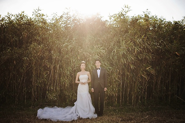 포토 JPG 주간 전신 나무 라이프스타일 여자 남자 행복 신부 웨딩드레스 신랑 결혼 신혼부부 모션 자연 한국 함께함 사랑 서기 미소 사람 동양인 정장 턱시도 손짓 성인 야외 두명 앞모습 30대 햇빛 제주도 한국인 대나무 대나무숲 웨딩라이프 장년만 성인만 국내포토 자연요소 식물 부부 드레스 옷 감정 아시아 뷰포인트 컨셉 표정 인종 이벤트 생활 장년 태양 숲 생태계 신혼 파일형식