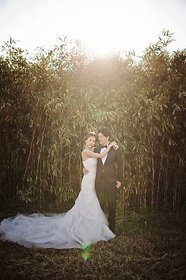 포토 JPG 주간 전신 나무 식물 라이프스타일 여자 남자 행복 신부 웨딩드레스 신랑 결혼 신혼부부 안기 모션 한국 함께함 사랑 서기 미소 사람 동양인 정장 턱시도 성인 야외 두명 앞모습 옆모습 30대 햇빛 제주도 한국인 대나무 대나무숲 웨딩라이프 장년만 성인만 국내포토 자연요소 부부 드레스 옷 감정 아시아 뷰포인트 컨셉 표정 인종 이벤트 생활 장년 태양 숲 신혼 파일형식