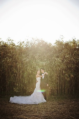 포토 JPG 주간 전신 나무 식물 라이프스타일 여자 남자 행복 신부 웨딩드레스 신랑 결혼 신혼부부 안기 모션 한국 함께함 사랑 서기 미소 사람 동양인 정장 턱시도 성인 야외 두명 앞모습 옆모습 30대 햇빛 제주도 한국인 대나무 대나무숲 웨딩라이프 장년만 성인만 국내포토 자연요소 부부 드레스 옷 감정 아시아 뷰포인트 컨셉 표정 인종 이벤트 생활 장년 태양 숲 신혼 파일형식