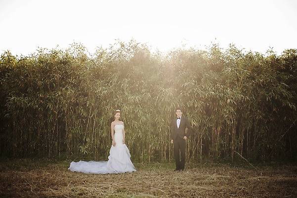 포토 JPG 주간 전신 나무 식물 라이프스타일 여자 남자 행복 신부 웨딩드레스 신랑 결혼 신혼부부 모션 한국 함께함 사랑 서기 사람 동양인 정장 턱시도 성인 야외 두명 앞모습 30대 햇빛 제주도 한국인 대나무 대나무숲 웨딩라이프 장년만 성인만 국내포토 자연요소 부부 드레스 옷 감정 아시아 뷰포인트 컨셉 인종 이벤트 생활 장년 태양 숲 신혼 파일형식