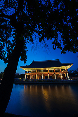 포토 JPG 나무 식물 한국문화 건축물 백그라운드 야경 조명 서울 사람없음 야외 관광지 궁전 연못 분위기 경복궁 과거 경회루 국내포토 동양문화 건축 여행 컨셉 고건축 한국 야간 파일형식 풍경_경치