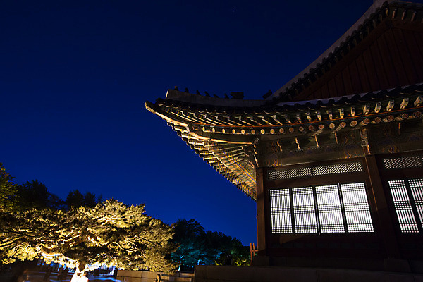 포토 JPG 한국문화 건축물 백그라운드 야경 조명 서울 사람없음 야외 관광지 궁전 분위기 경복궁 과거 국내포토 동양문화 건축 여행 컨셉 고건축 한국 야간 파일형식 풍경_경치