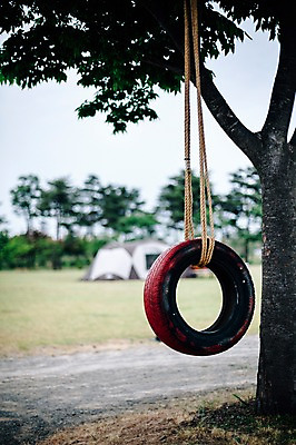 포토 JPG 주간 나무 식물 밧줄 한국 텐트 사람없음 야외 캠핑 오브젝트 그네 타이어 강원도 양양군 국내포토 자연요소 아시아 줄 레저 캠핑도구 파일형식