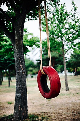 포토 JPG 주간 나무 식물 밧줄 한국 사람없음 야외 캠핑 오브젝트 그네 타이어 강원도 양양군 국내포토 자연요소 아시아 줄 레저 파일형식