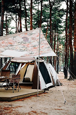 포토 JPG 주간 나무 식물 의자 식탁 한국 텐트 앉기 사람없음 야외 캠핑 오브젝트 천막 강원도 양양군 국내포토 자연요소 아시아 가구 모션 탁자 레저 캠핑도구 파일형식