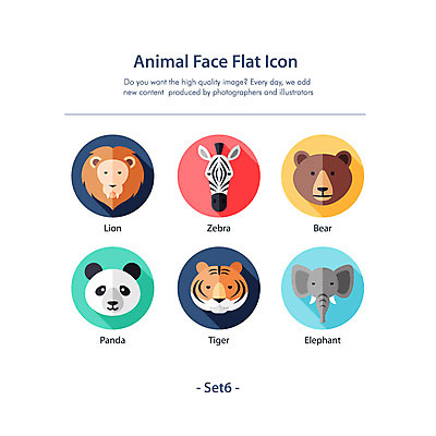 동물 얼굴 일러스트 곰 코끼리 동물원 사람없음 세트 호랑이 플랫 사자 판다 얼룩말 2D아이콘 AI파일 아이콘 포유류 신체부위 말_동물 파일형식 벡터