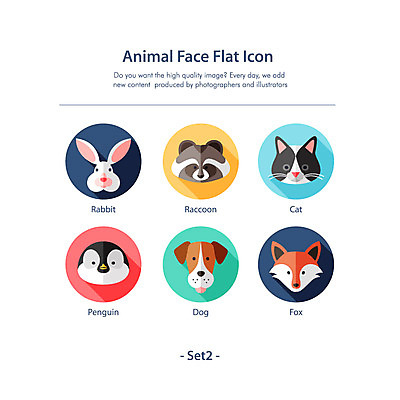 동물 얼굴 일러스트 동물원 사람없음 세트 고양이 토끼 플랫 개 펭귄 여우 너구리 2D아이콘 AI파일 아이콘 포유류 조류 신체부위 반려동물 파일형식 벡터