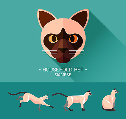 동물 캐릭터 얼굴 동물캐릭터 일러스트 사람없음 반려동물 고양이 플랫 고양이캐릭터 샴고양이 일러캐릭터 AI파일 포유류 신체부위 파일형식 벡터